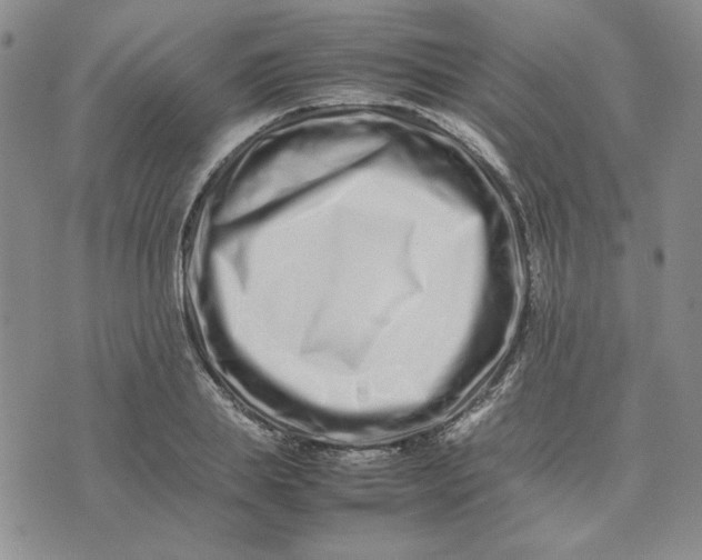 X0000075360839200609251100