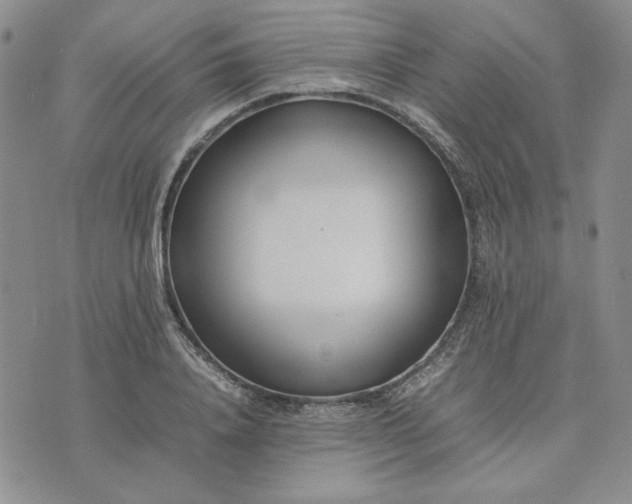 X0000075360840200609251100