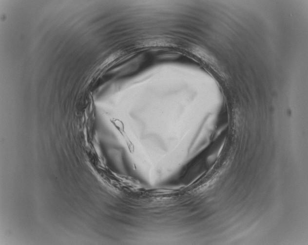 X0000075360841200609251100