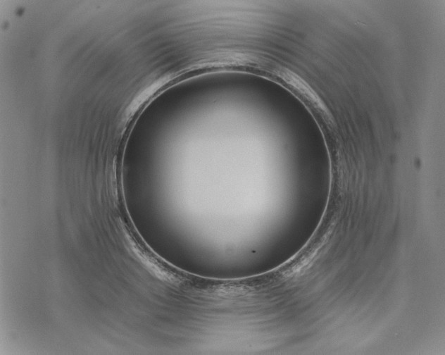 X0000075360842200609251100