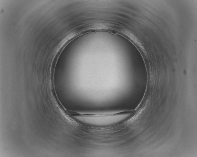 X0000075360845200609251100