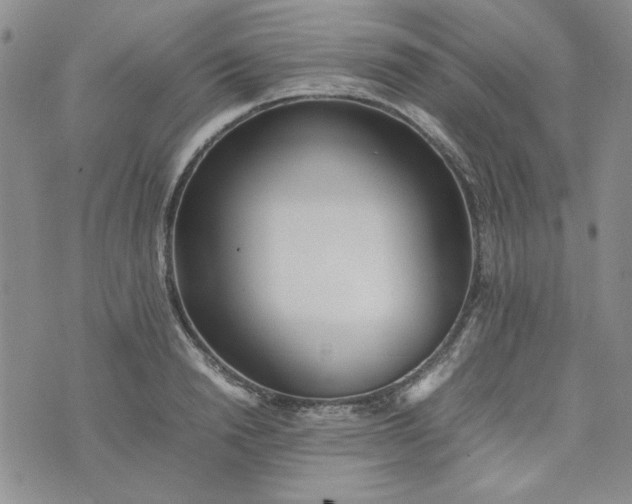 X0000075360846200609251100