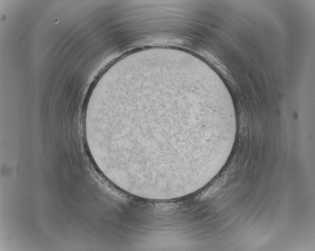 X0000075360848200609251100