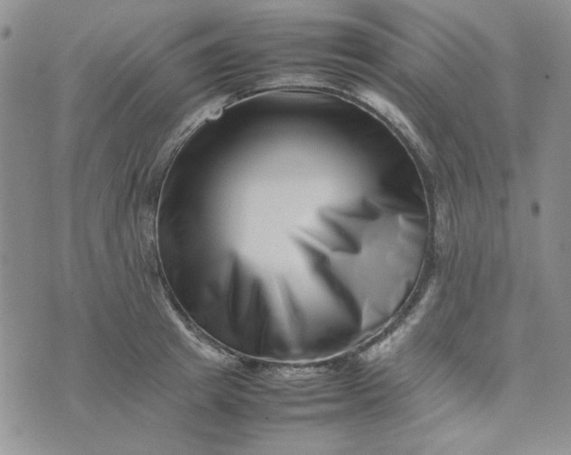 X0000075360849200609251100