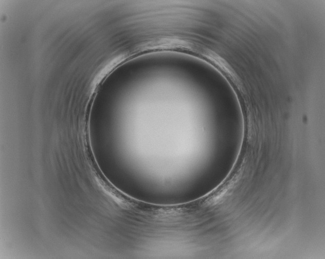 X0000075360850200609251100