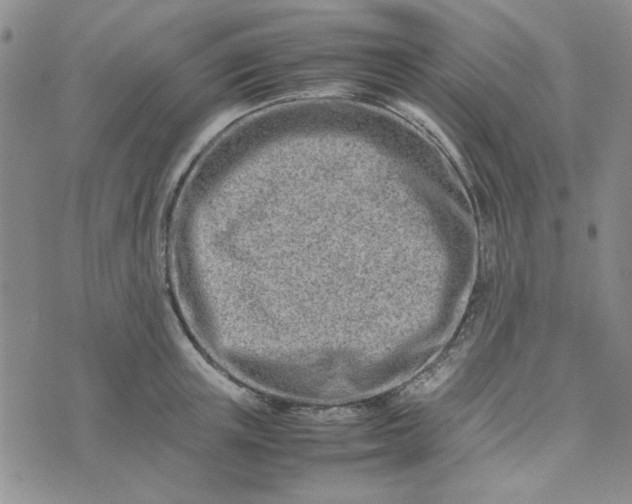 X0000075360851200609251100