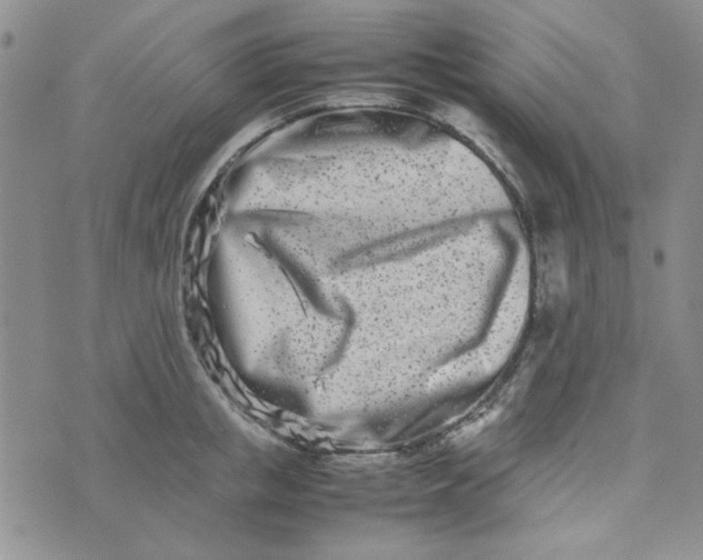 X0000075360853200609251100