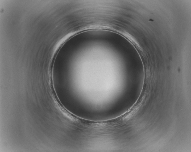 X0000075360854200609251100