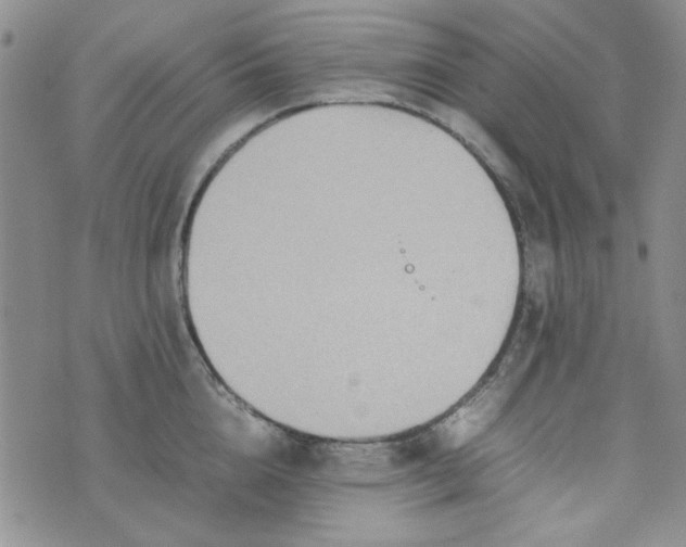 X0000075360856200609251100