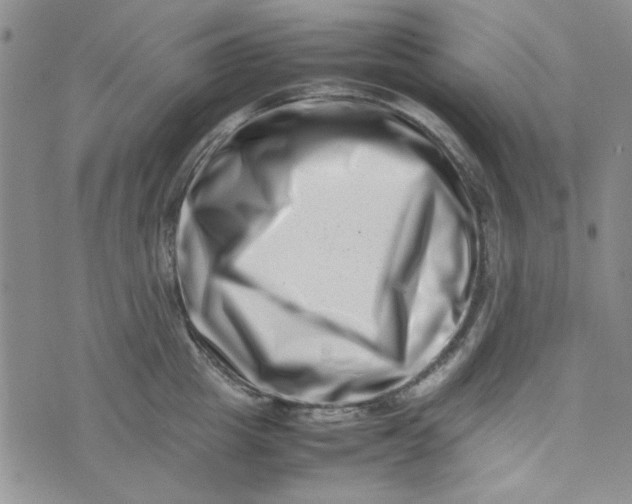 X0000075360857200609251100