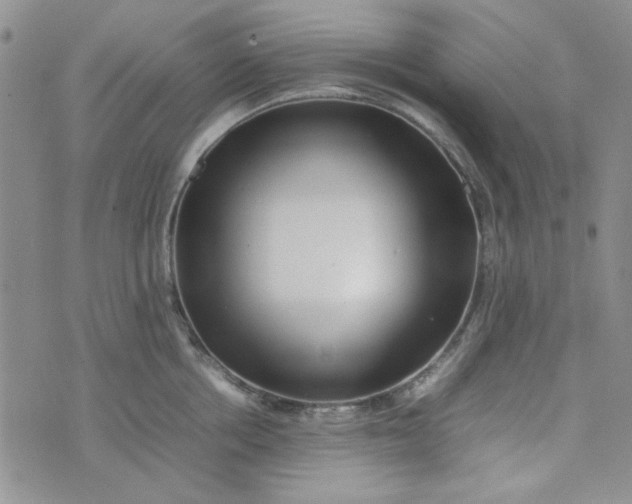 X0000075360858200609251100