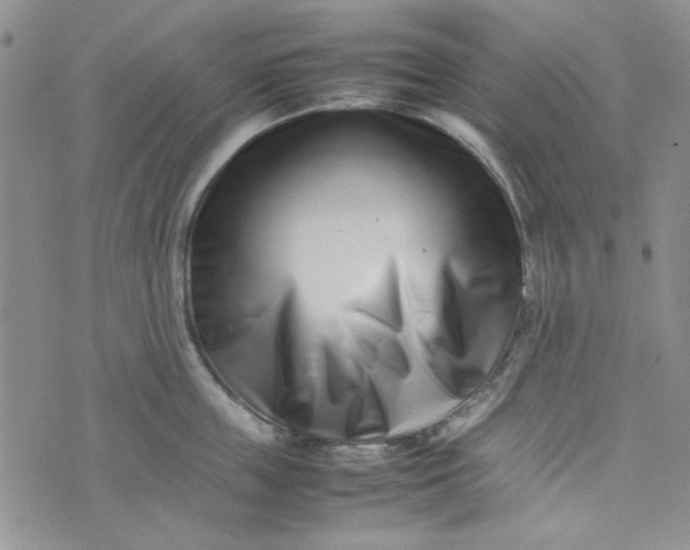 X0000075360859200609251100