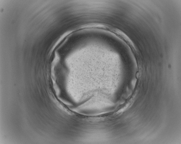 X0000075360860200609251100