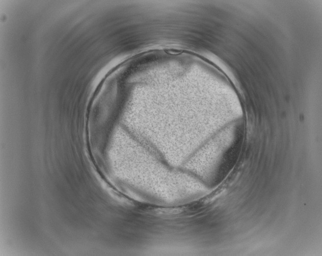 X0000075360861200609251100