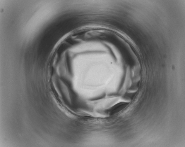 X0000075360862200609251100