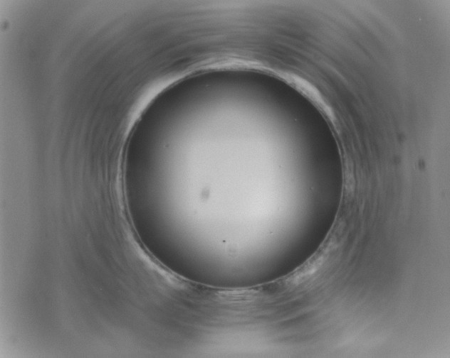 X0000075360863200609251100