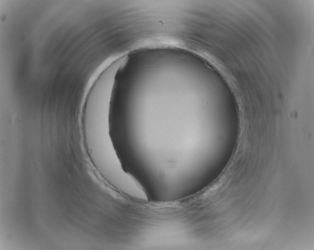 X0000075360864200609251100