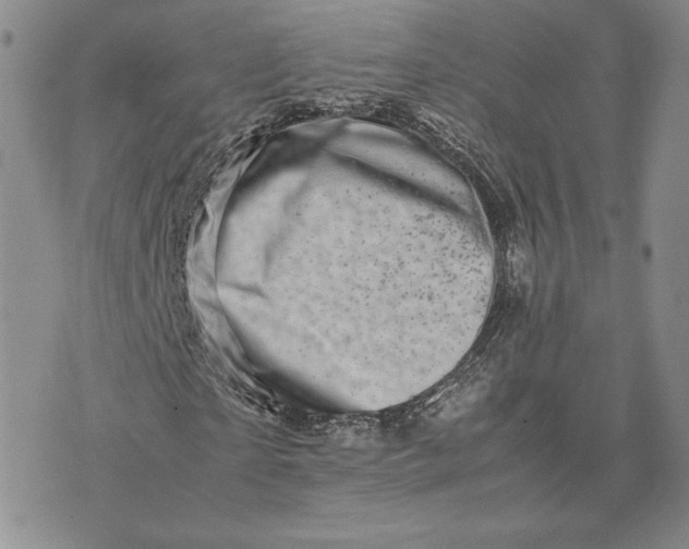 X0000075360865200609251059