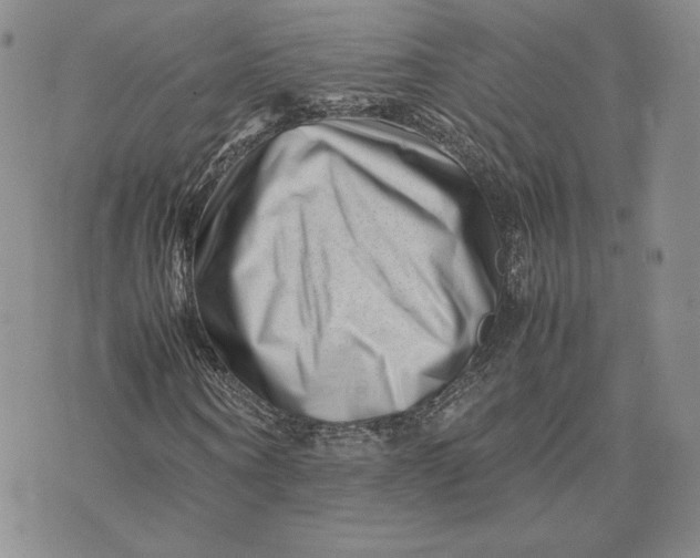 X0000075360866200609251059