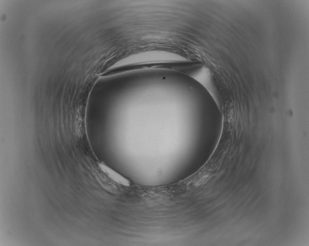 X0000075360868200609251059