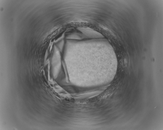 X0000075360870200609251059