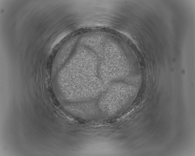 X0000075360871200609251059