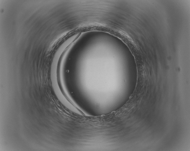 X0000075360872200609251059