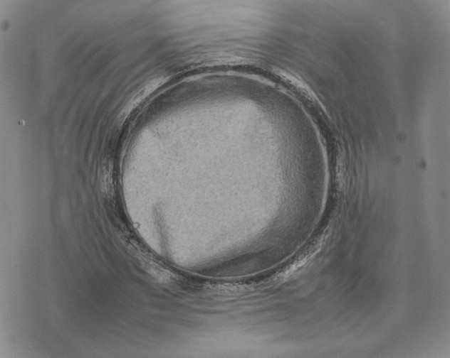 X0000075360873200609251059