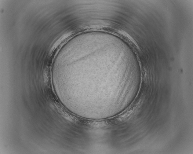 X0000075360874200609251059