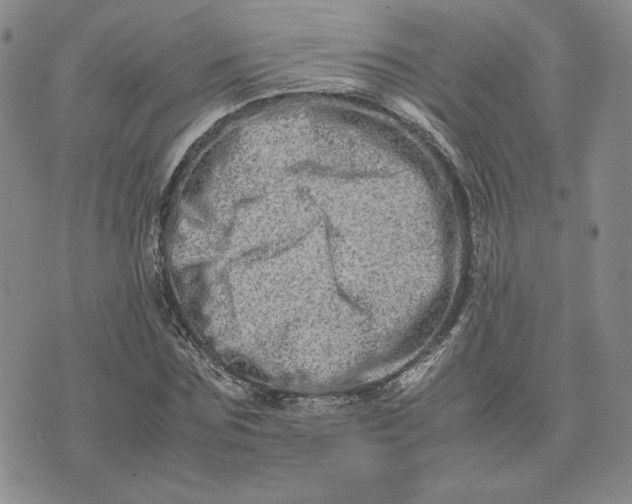 X0000075360875200609251059