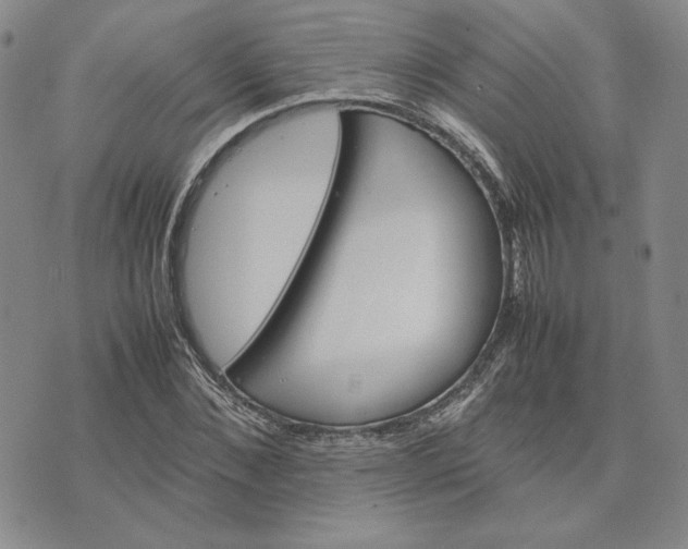 X0000075360876200609251059