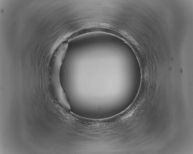 X0000075360877200609251059