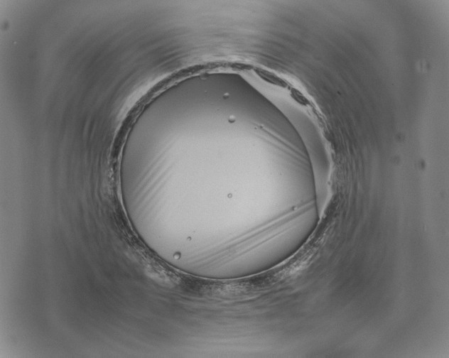 X0000075360879200609251059