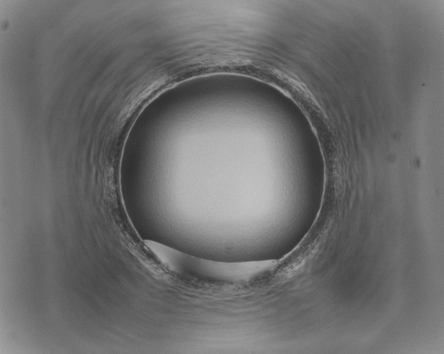 X0000075360881200609251059