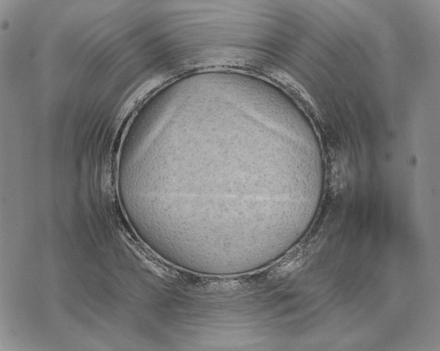 X0000075360882200609251059