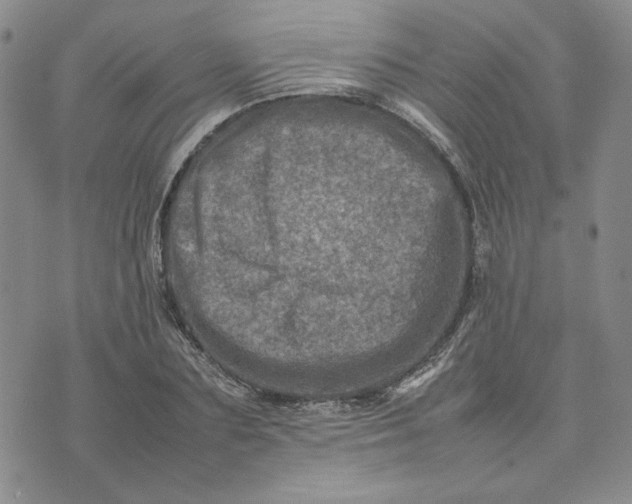 X0000075360883200609251059