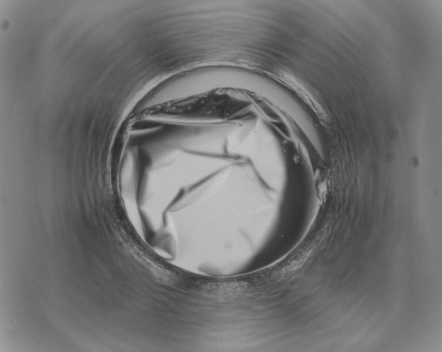 X0000075360884200609251059