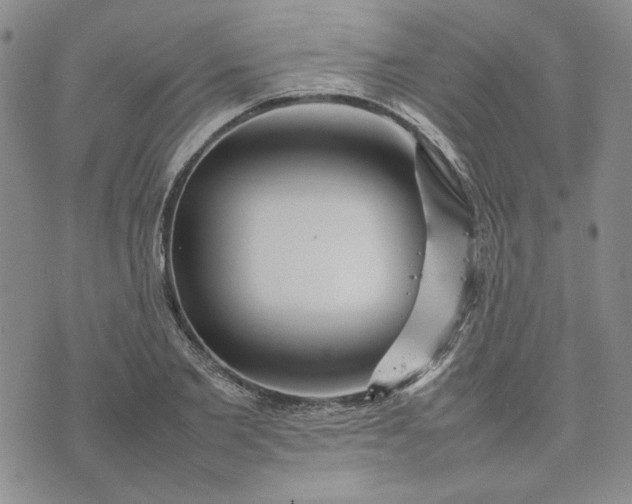 X0000075360885200609251059