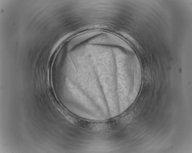 X0000075360886200609251059