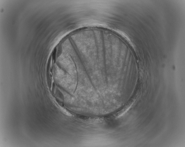 X0000075360887200609251059