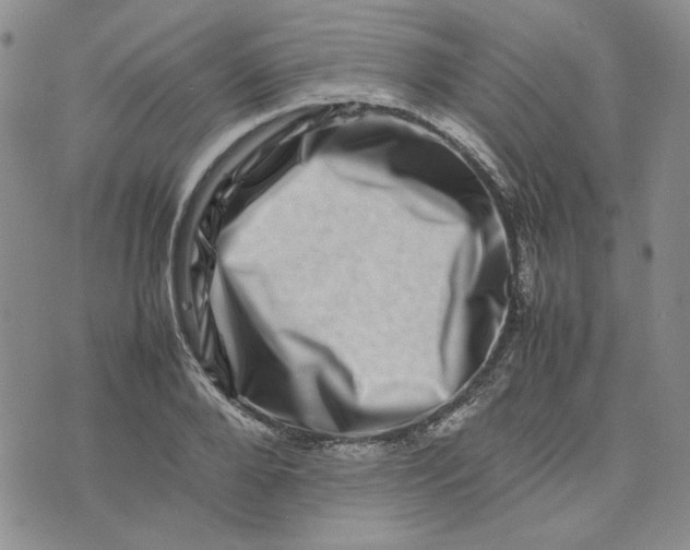 X0000075360888200609251059