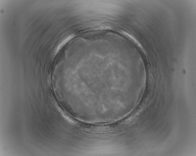 X0000075360889200609251059