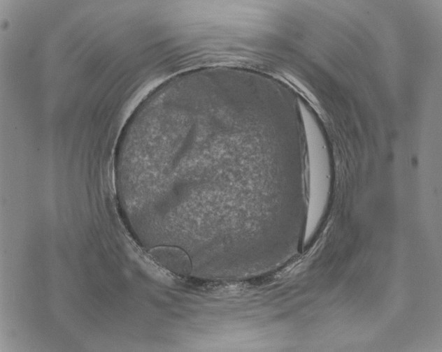 X0000075360891200609251059