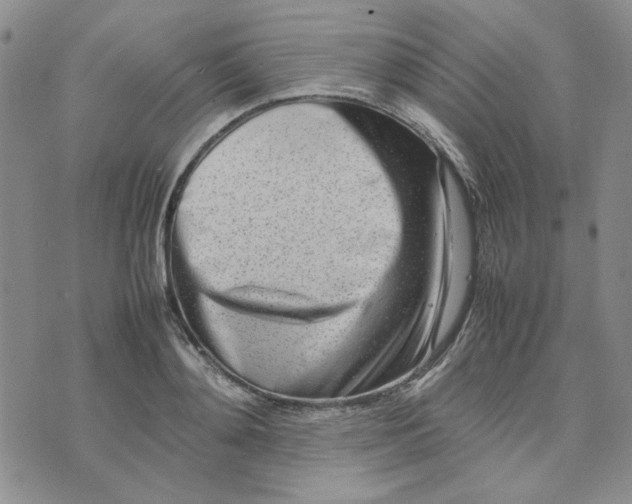 X0000075360892200609251059