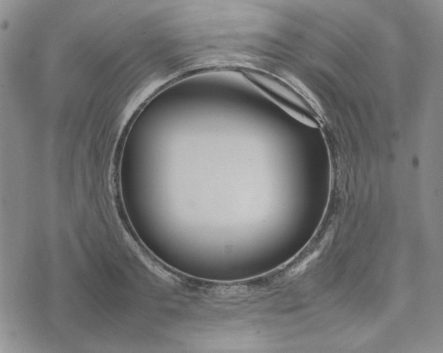 X0000075360893200609251059