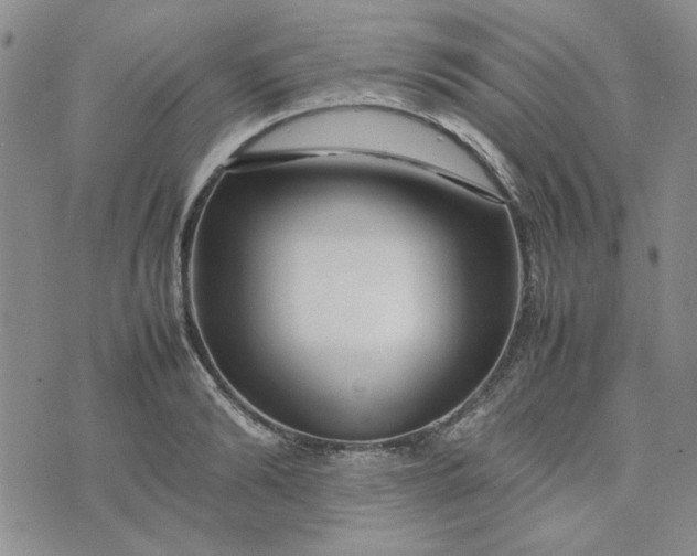 X0000075360894200609251059