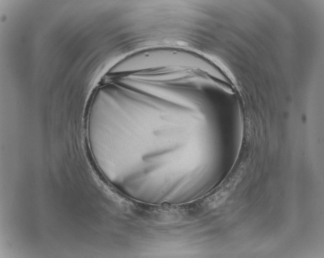 X0000075360895200609251059