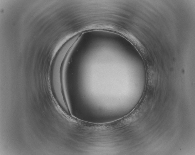 X0000075360896200609251059