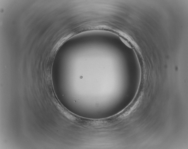 X0000075360897200609251059