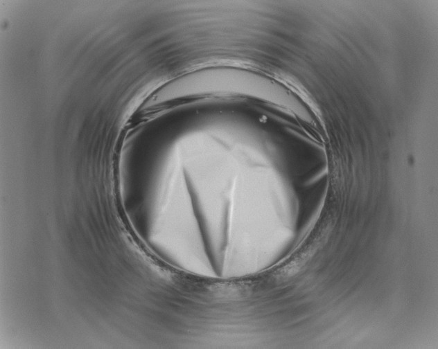 X0000075360898200609251059